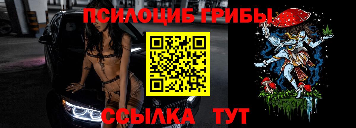 Мичуринск  Псилоцибиновые грибы Magic Shrooms  Вход с VPN 